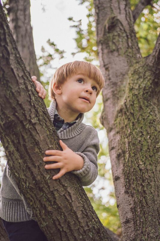 Boy in tree during family session